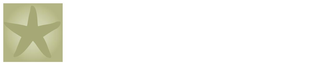 Footer Image