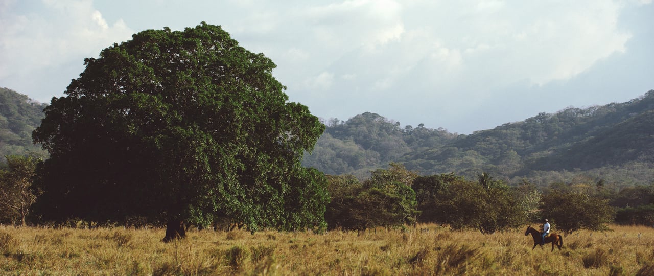  Punta Sabana & Mar Serena