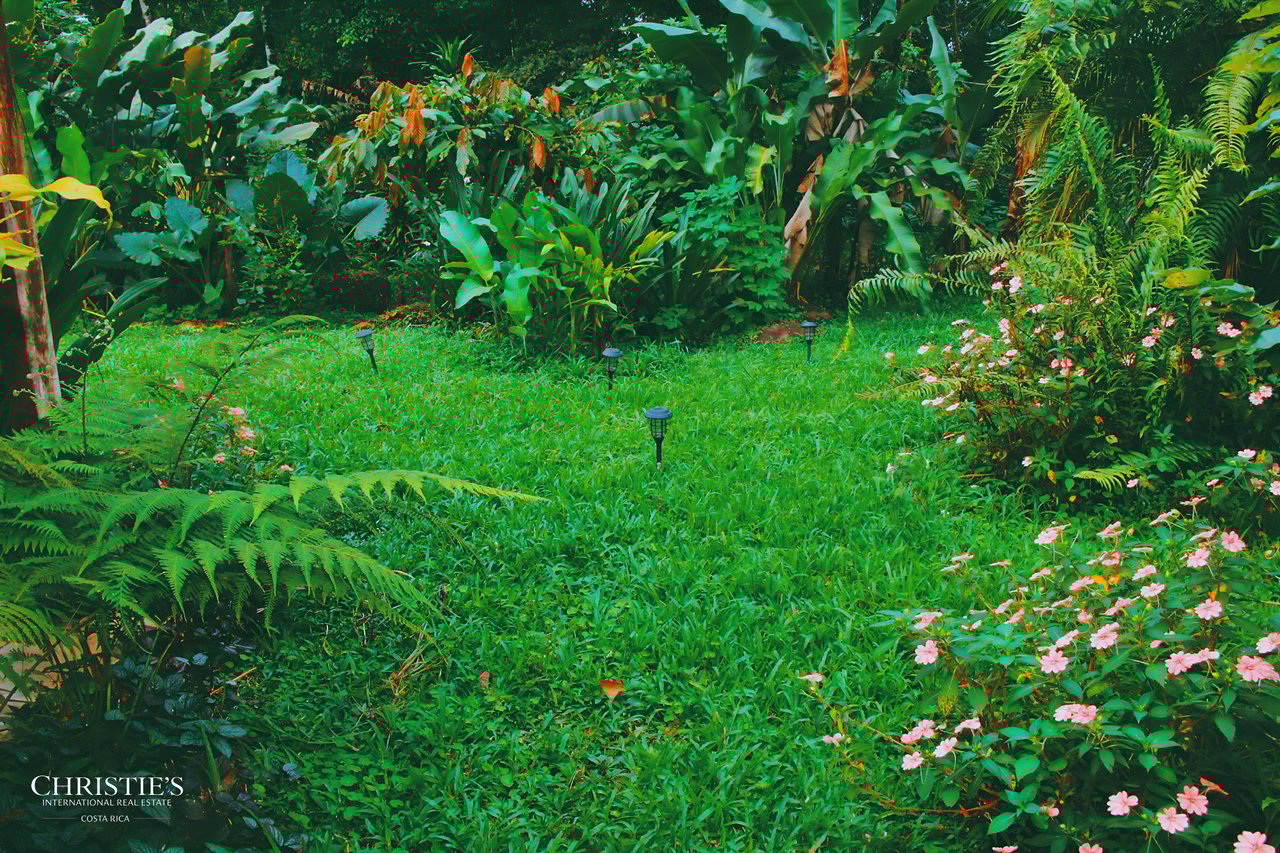Finca Isla Rainforest Retreat – A Rare Income-Producing Paradise