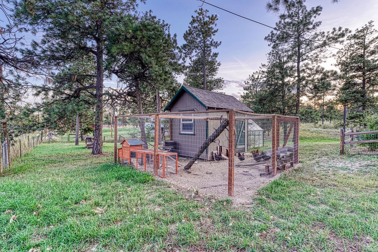 11125 Black Forest Road