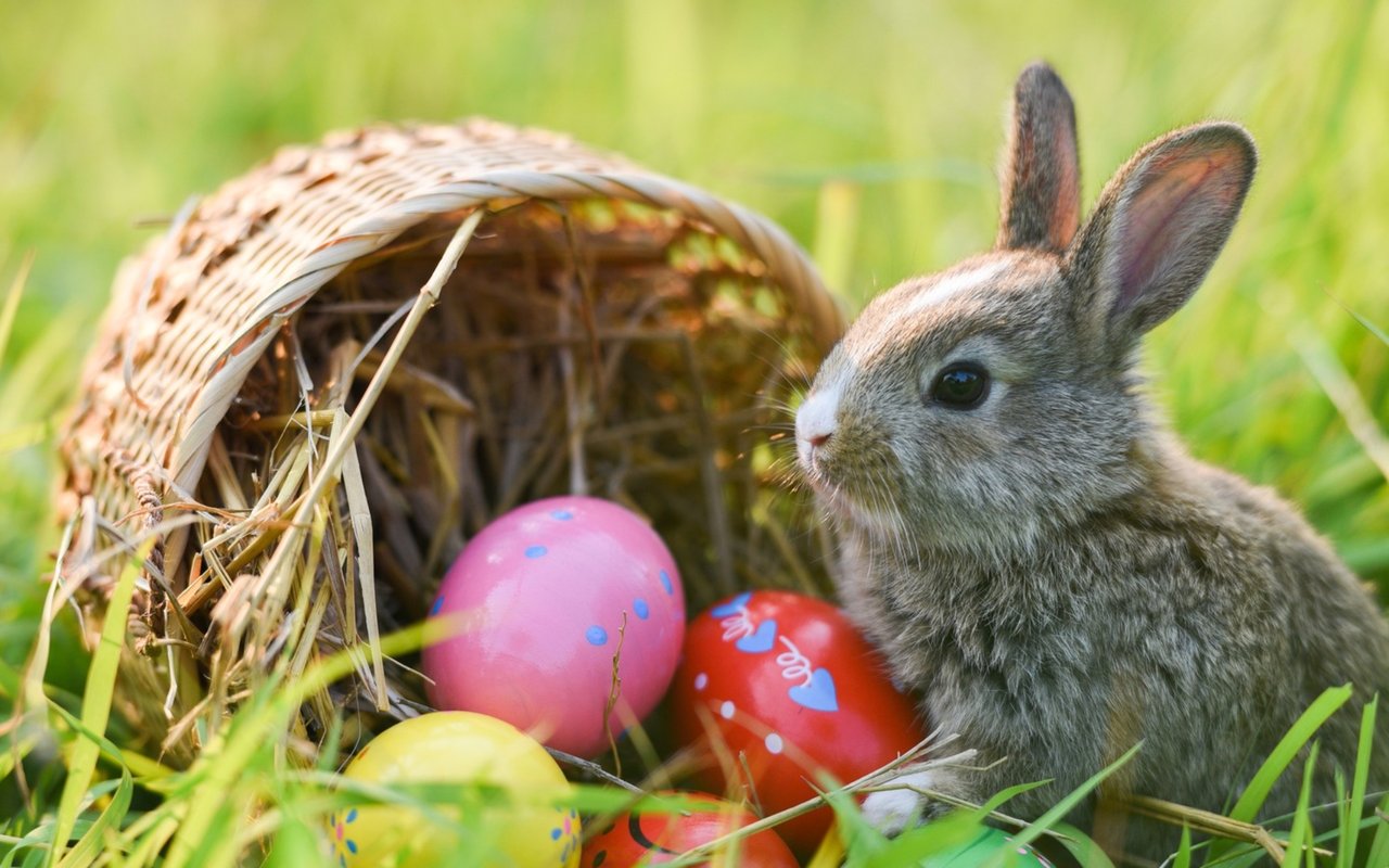 April Events Around Charlotte