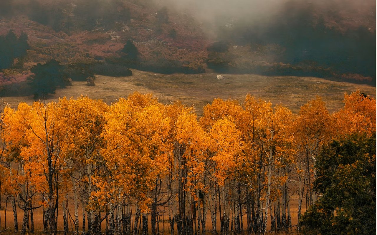 Vail, CO’s Best Photography Locations for Nature Enthusiasts