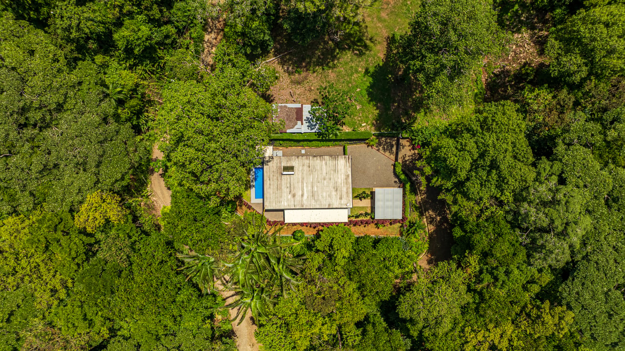 Cinco Ventanas Jungle Life Redefined