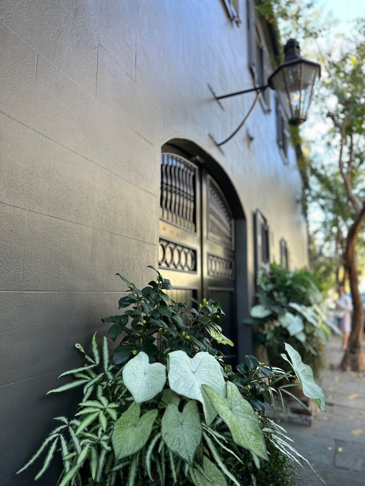 Is it a Good Time to Buy a House in Charleston? (2026 Market Reset & Rates)