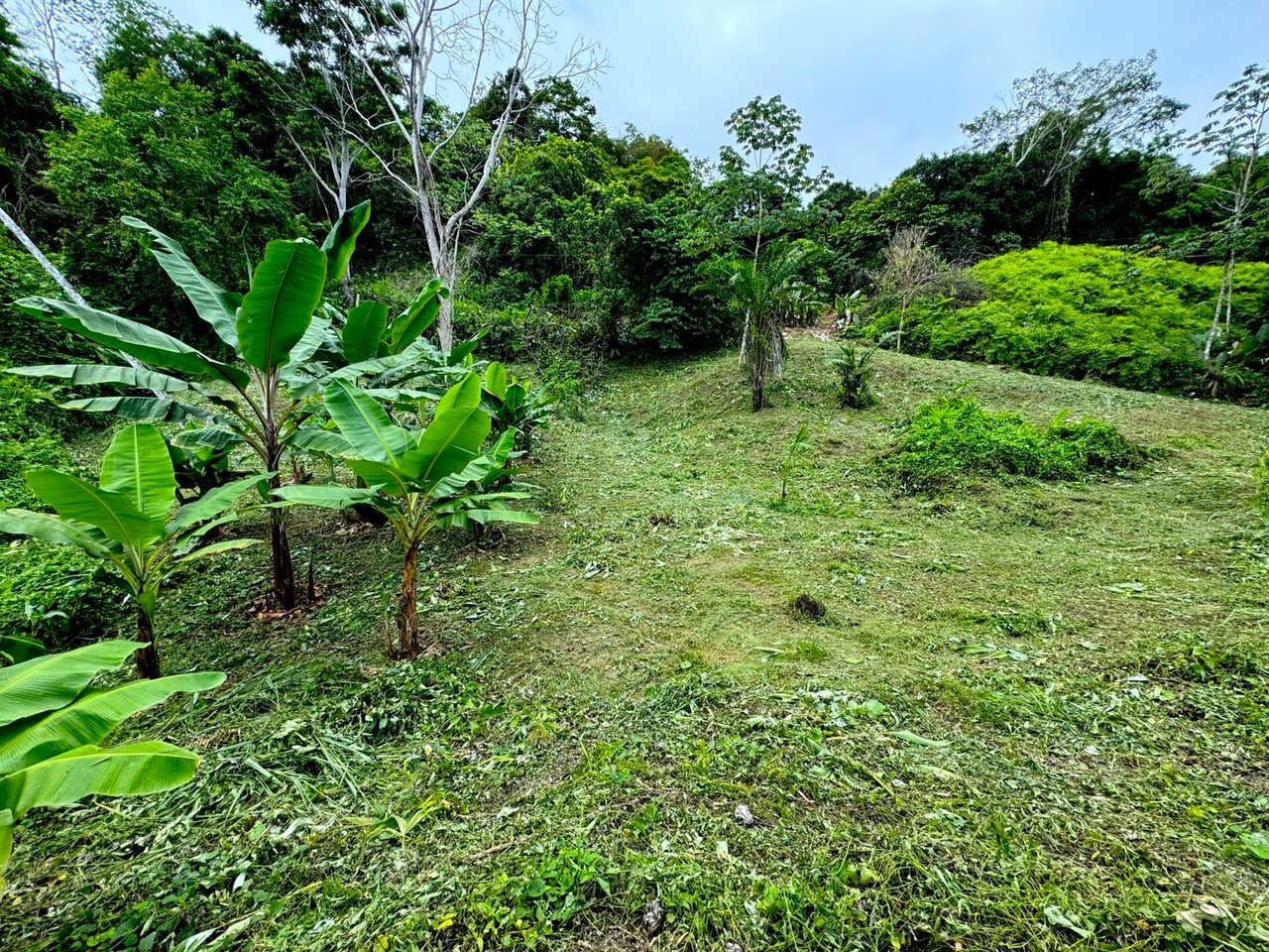 3 ACRES – Beautiful Mountain View Property, Small Ocean Window, Public Road Frontage, Multiple Building Sites, Many Fruit Trees!!!!