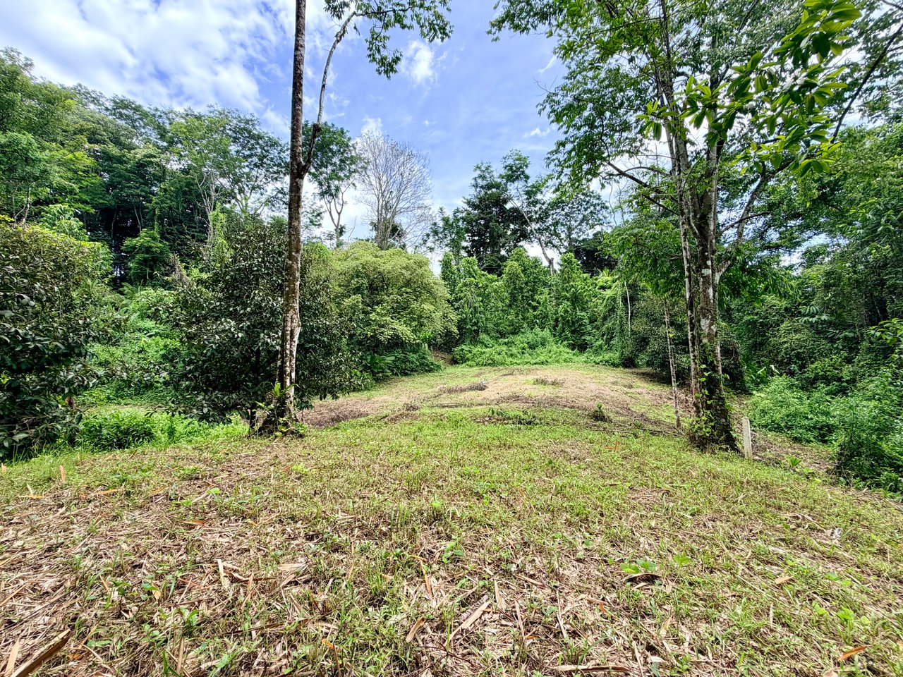 Uvita Development Farm - 45.4 Acres Estate