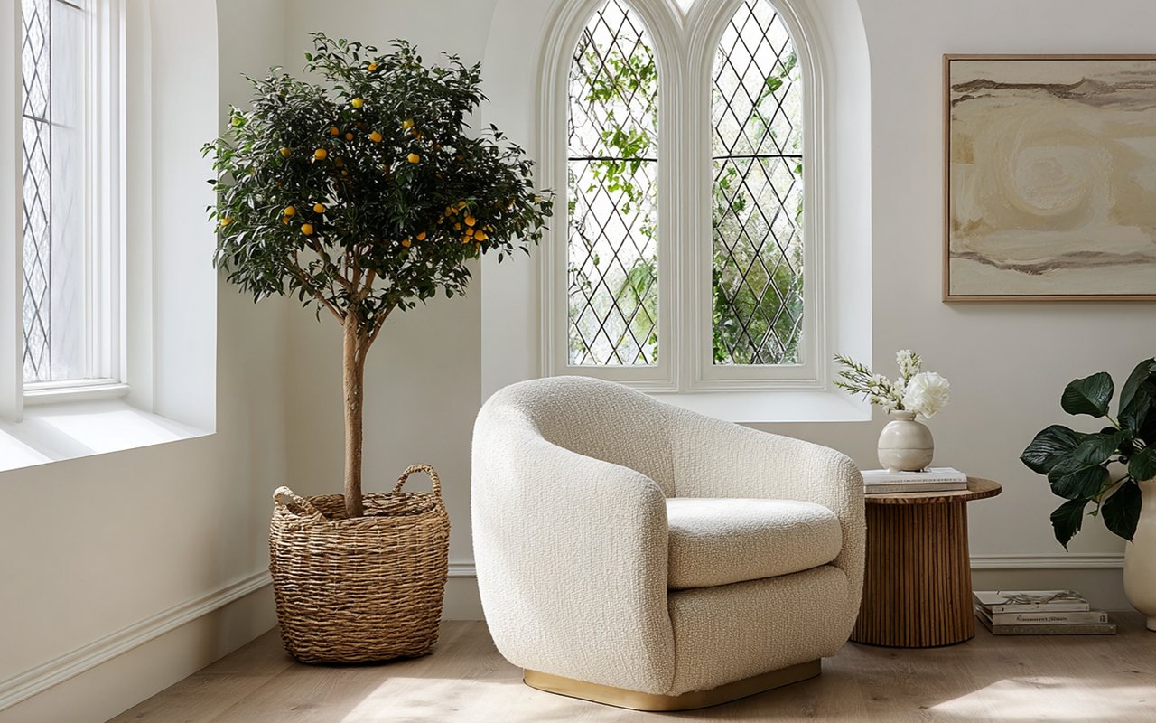 Sunlit sitting room with a boucle chair, arched diamond-pane windows, and a potted citrus tree.