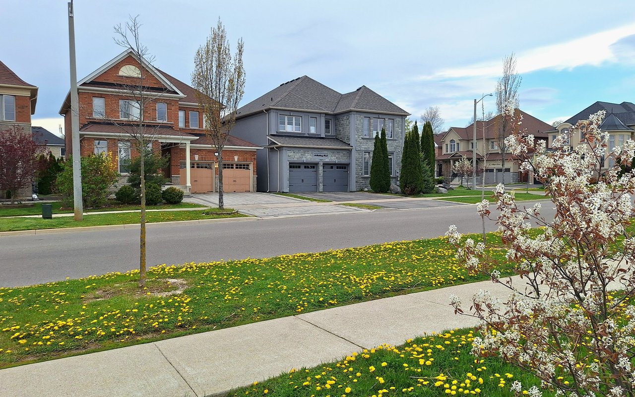 Humewood Cedarvale