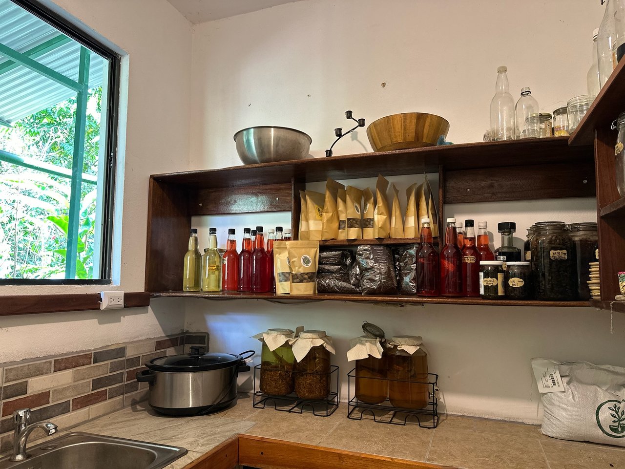Sustainable Living Farm to Table with Home, Guest House ,Tinamastes on the River