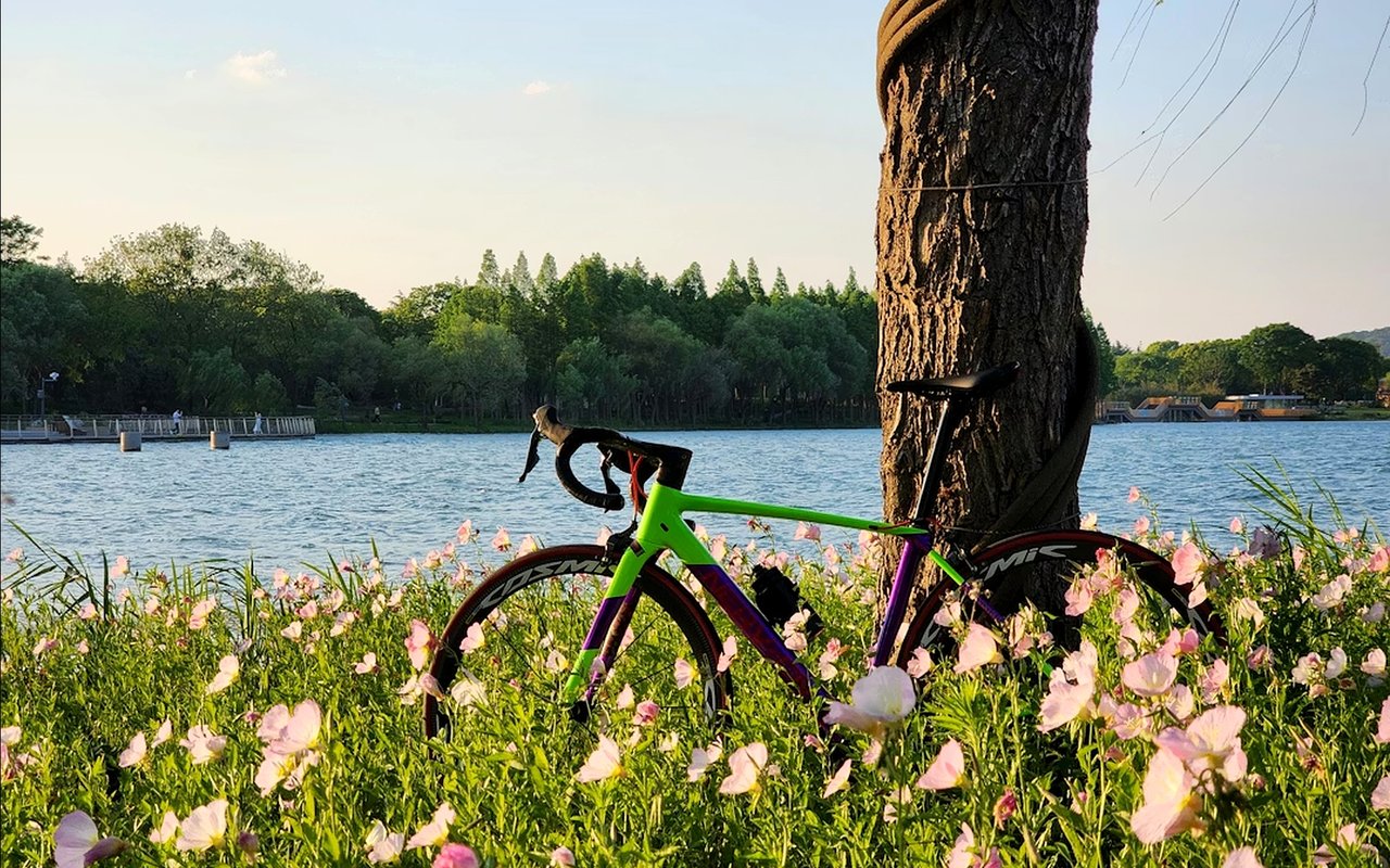 Exploring the Best Bike Paths in Hilton Head Plantation