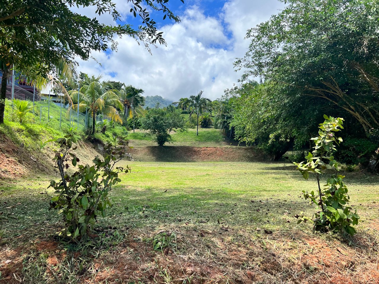 Beautiful Ocean View Lot with Multiple Building Sites with Legal Water