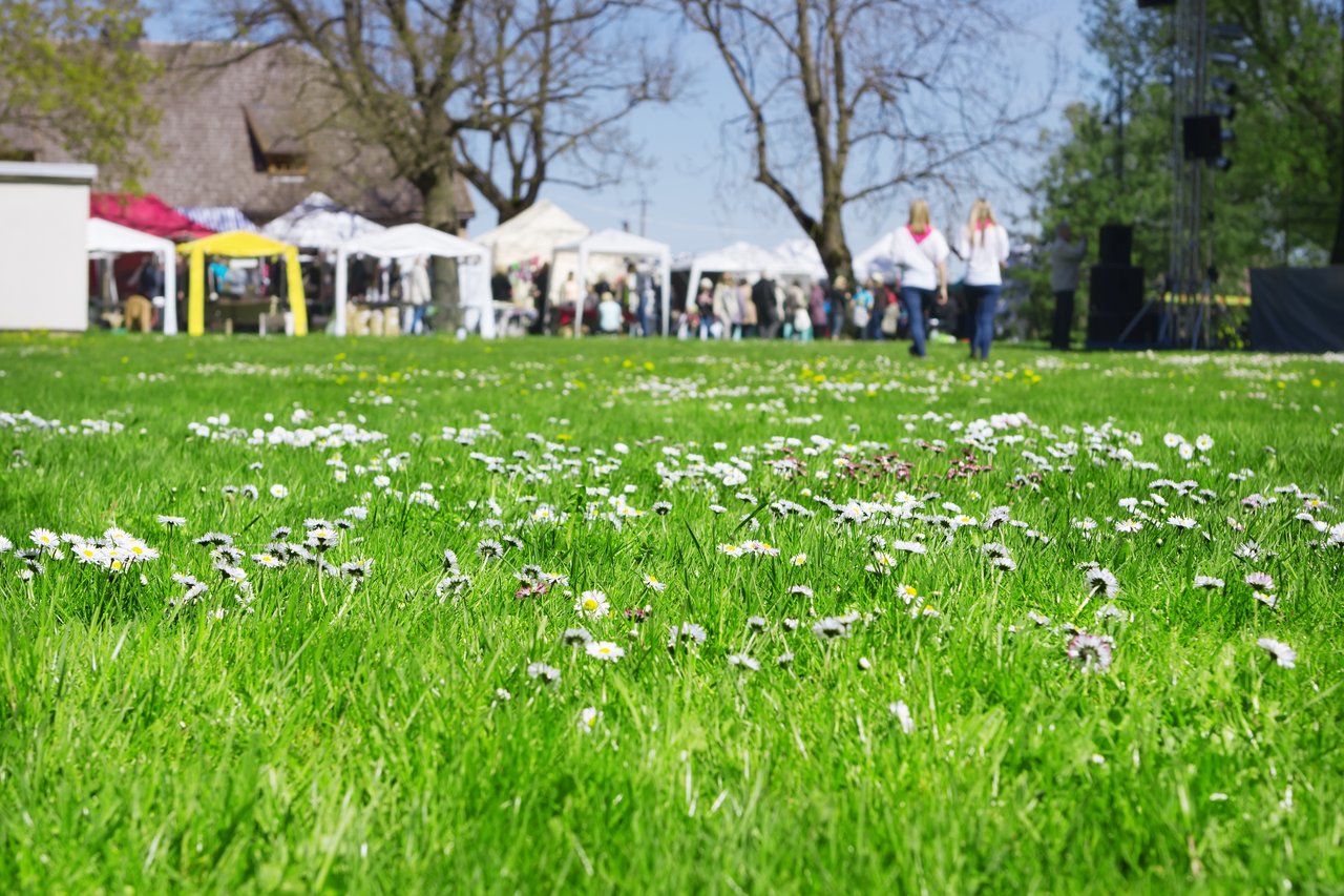 Fairs, Festivals and fun fun in the mountains