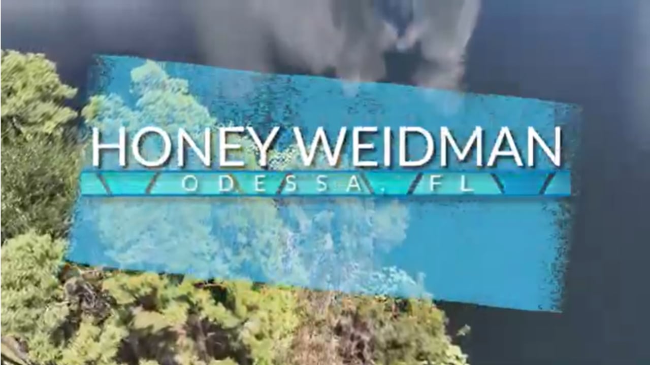 Luxury Meets Nature -  Odessa, Tampa Florida