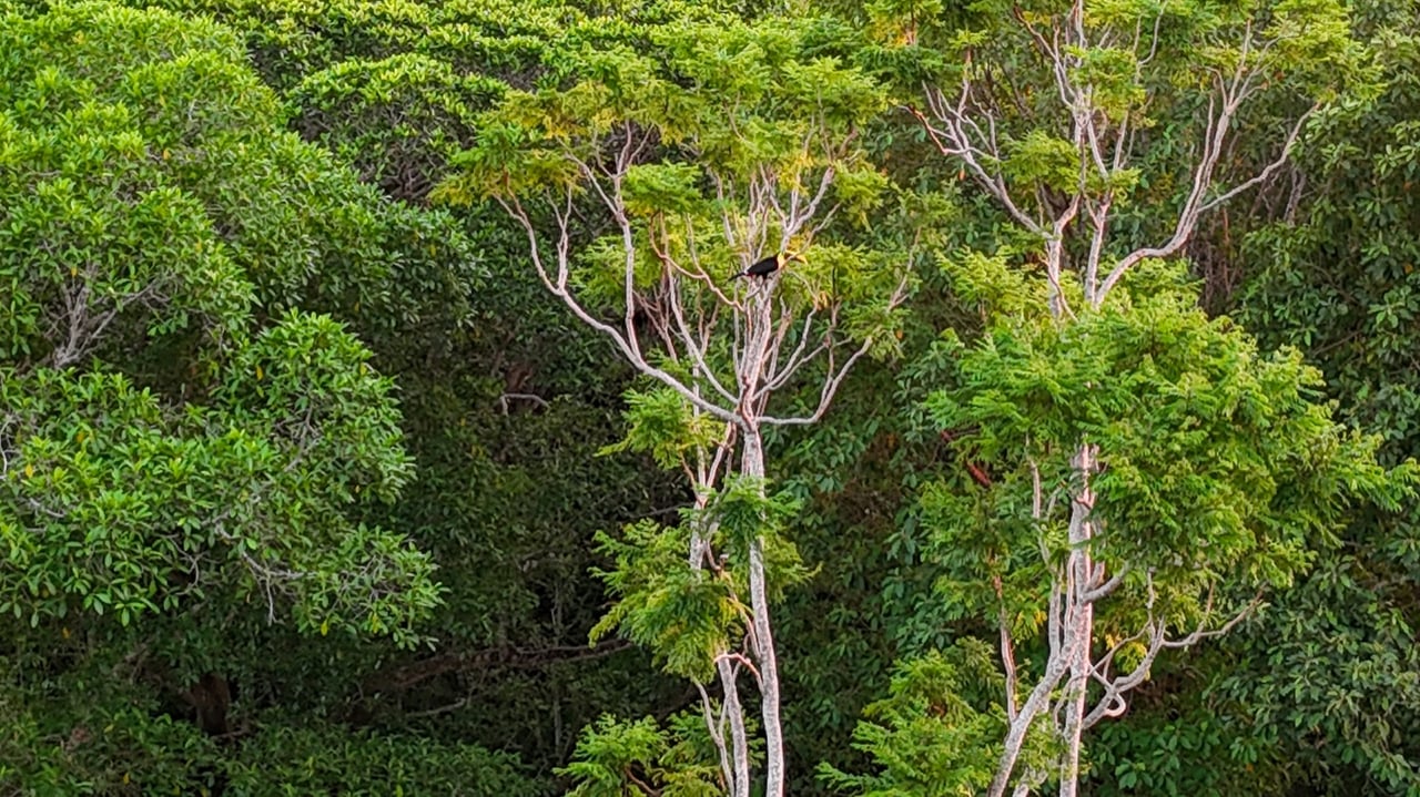 Private Modern Tropical Paradise Home For Sale in Ojochal, Costa Rica