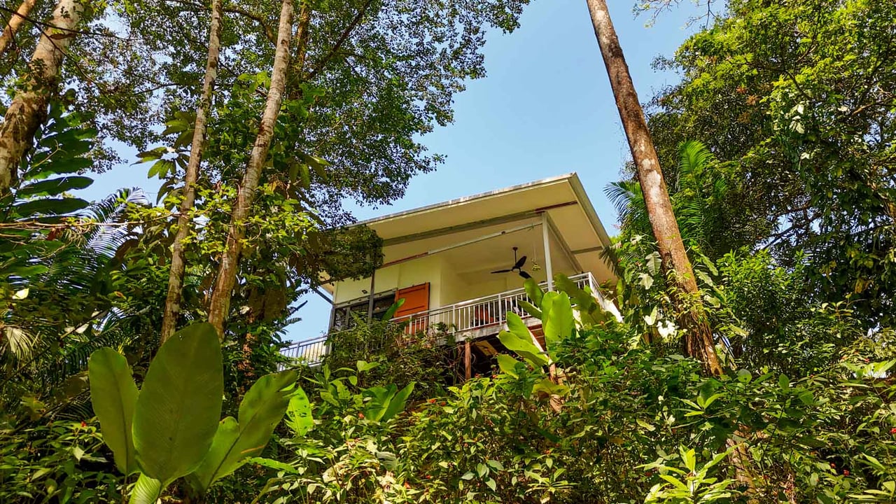 Uvita Jungle Home for Sale | Private Creek Lot Near Marino Ballena