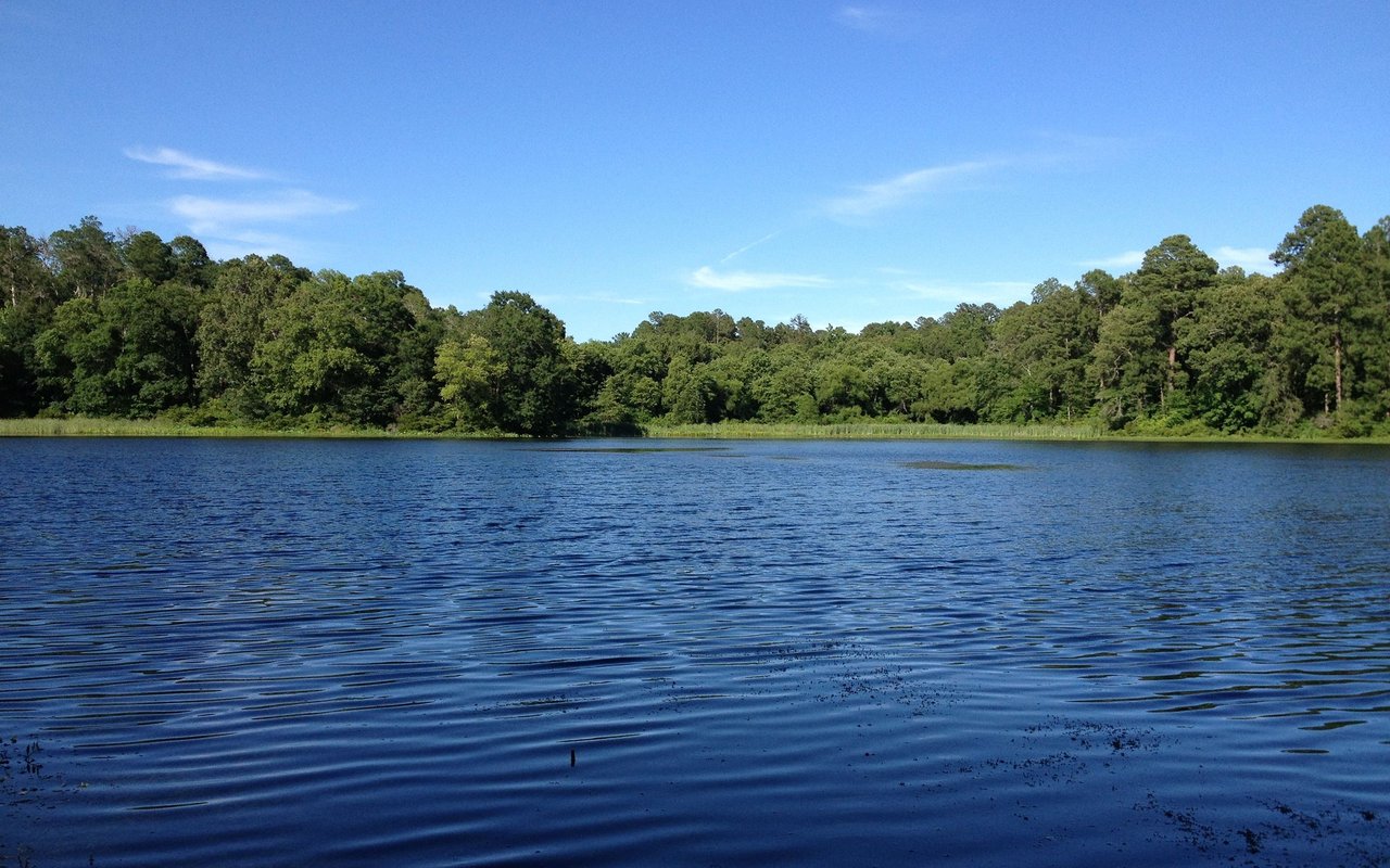 Lake Palestine
