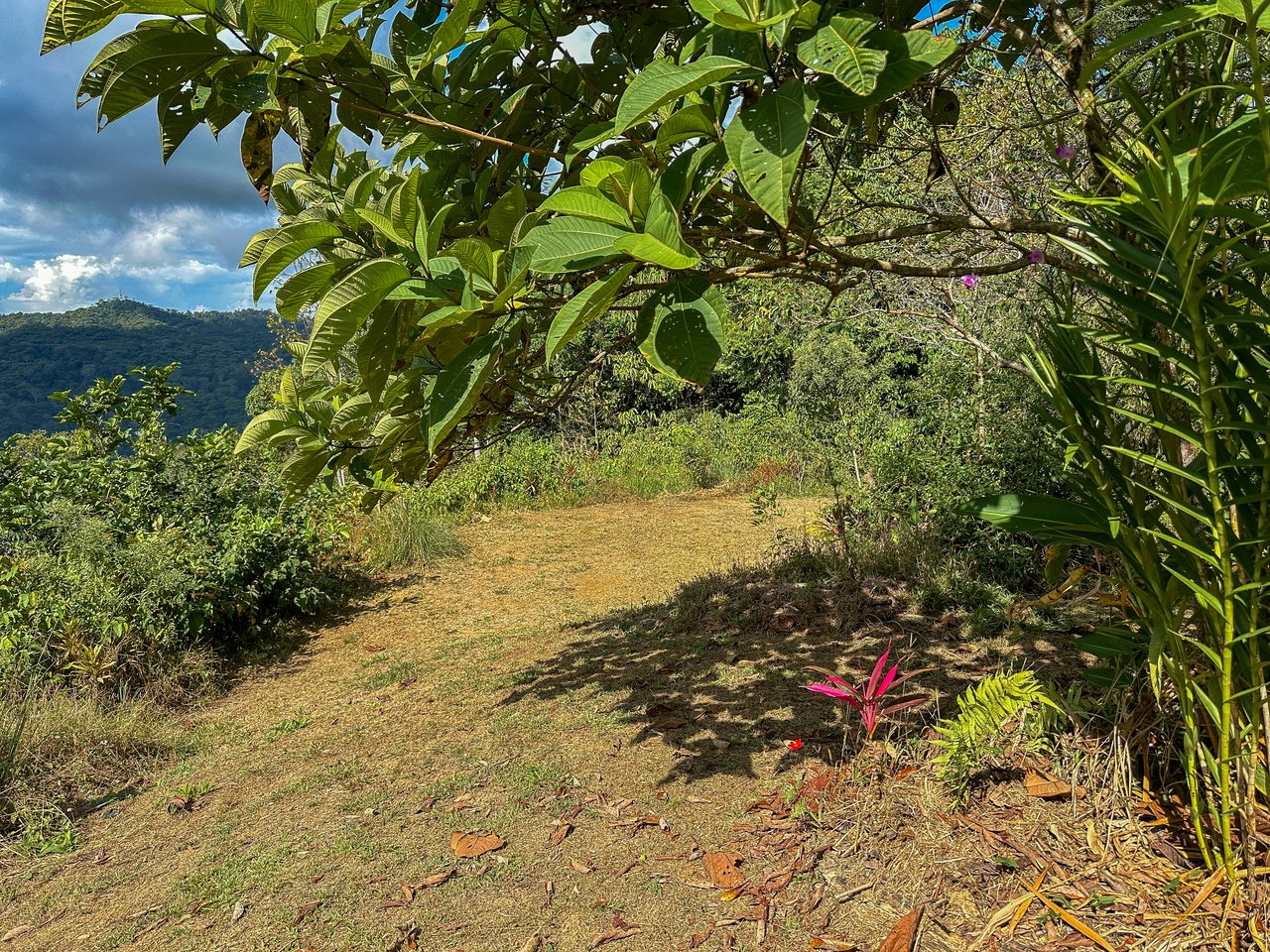 Tinamastes Costa Rica Property with Home, Yoga Deck & Land