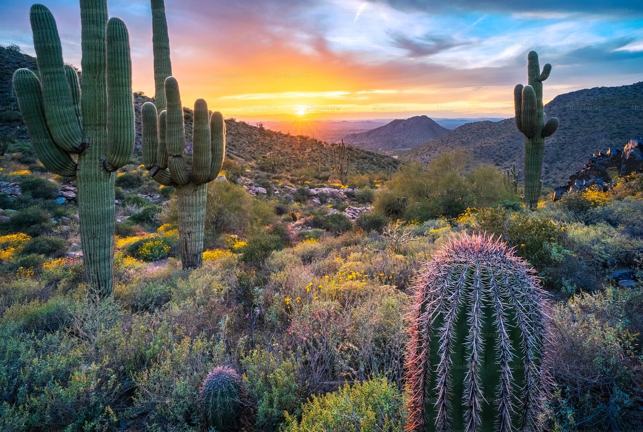 Finding a Home with Amazing Views That Will Take Your Breath Away in Ahwatukee