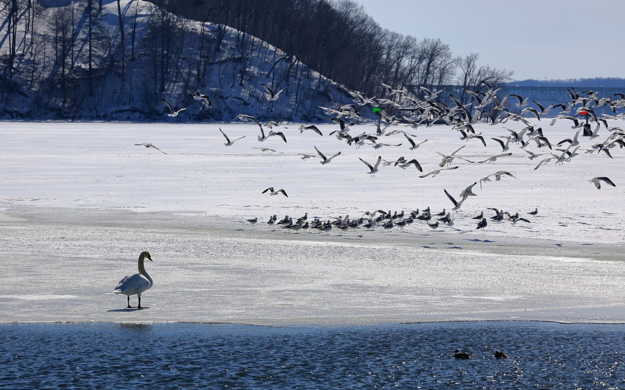 Irondequoit New York