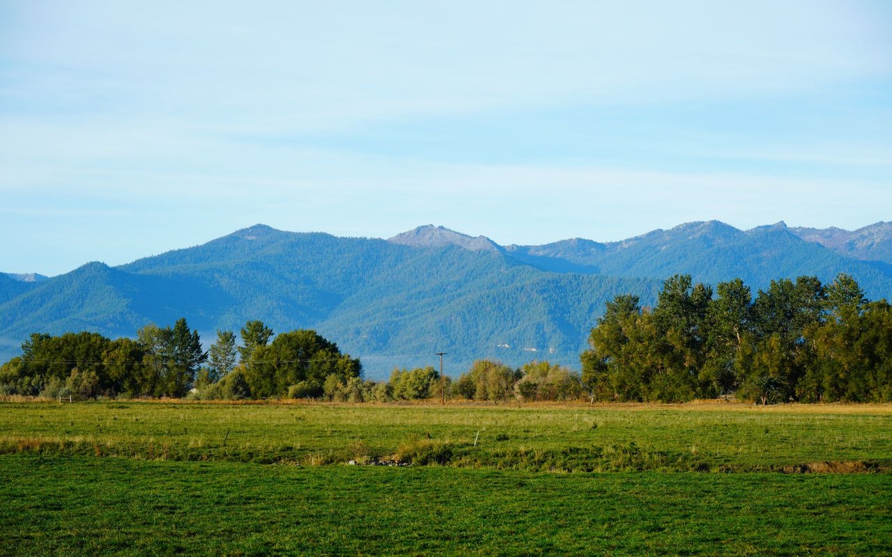 San Lorenzo Valley