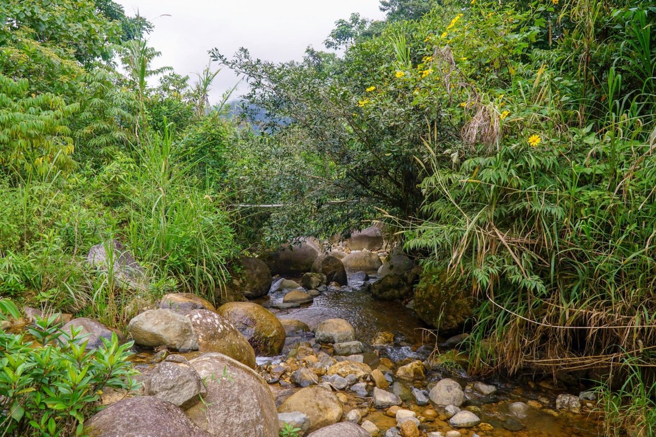 Sustainable Organic Mountain Farm, Perez Zeledon, San Jose