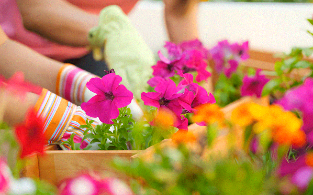 4 Things to Expect From the Spring Housing Market