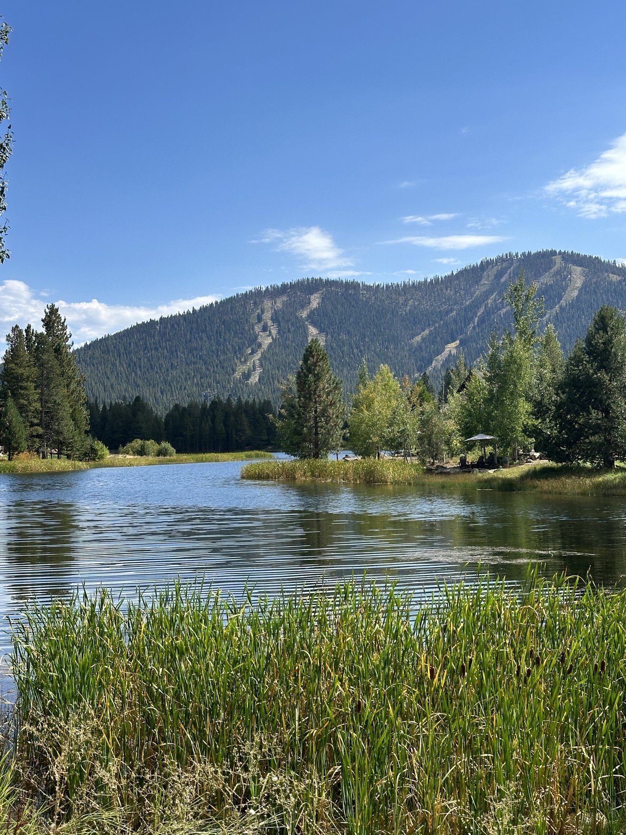 Aerial view of Lahontan Golf Club with luxury homes in Truckee, California