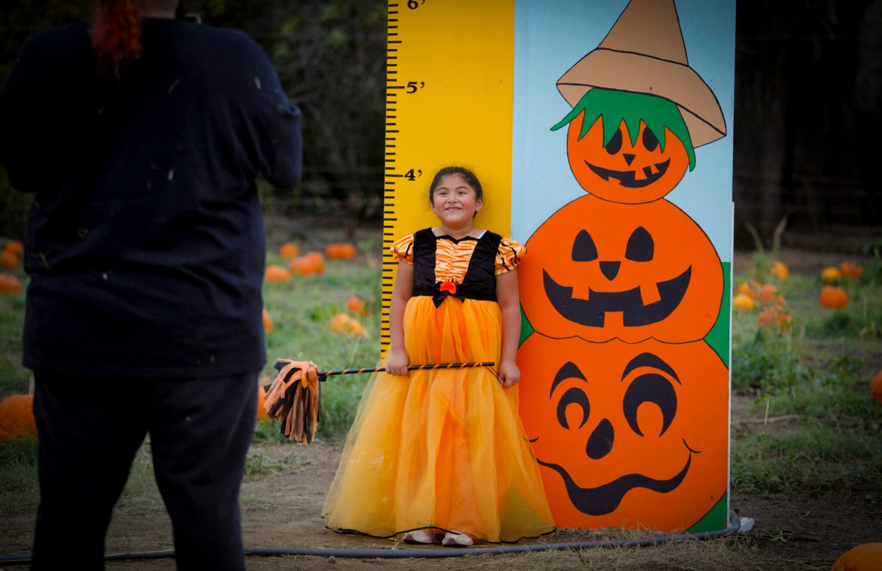 The Ultimate Guide to Sonoma County Pumpkin Patches in 2025