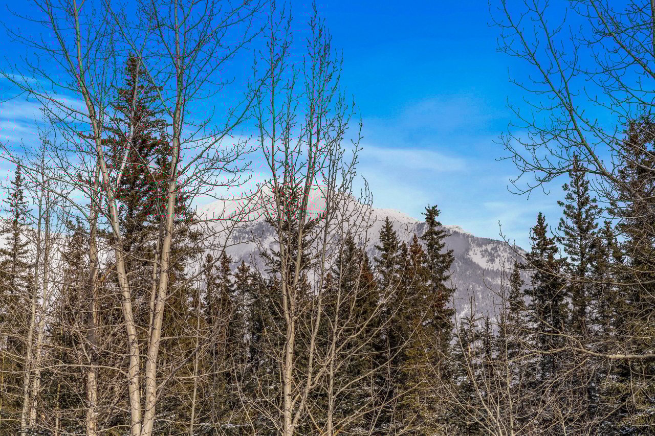 1 - 105 Rundle Drive 