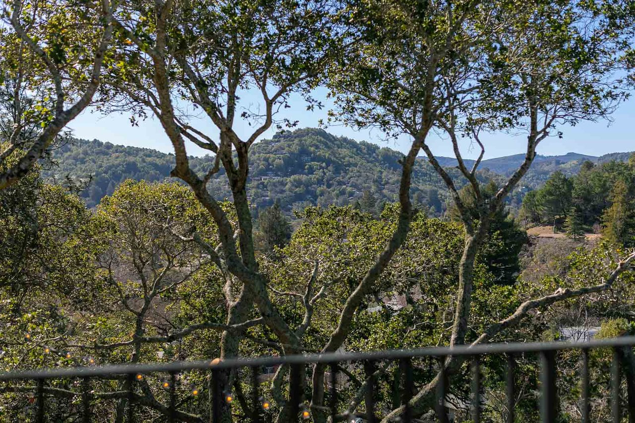 53 Monterey Ave, San Anselmo