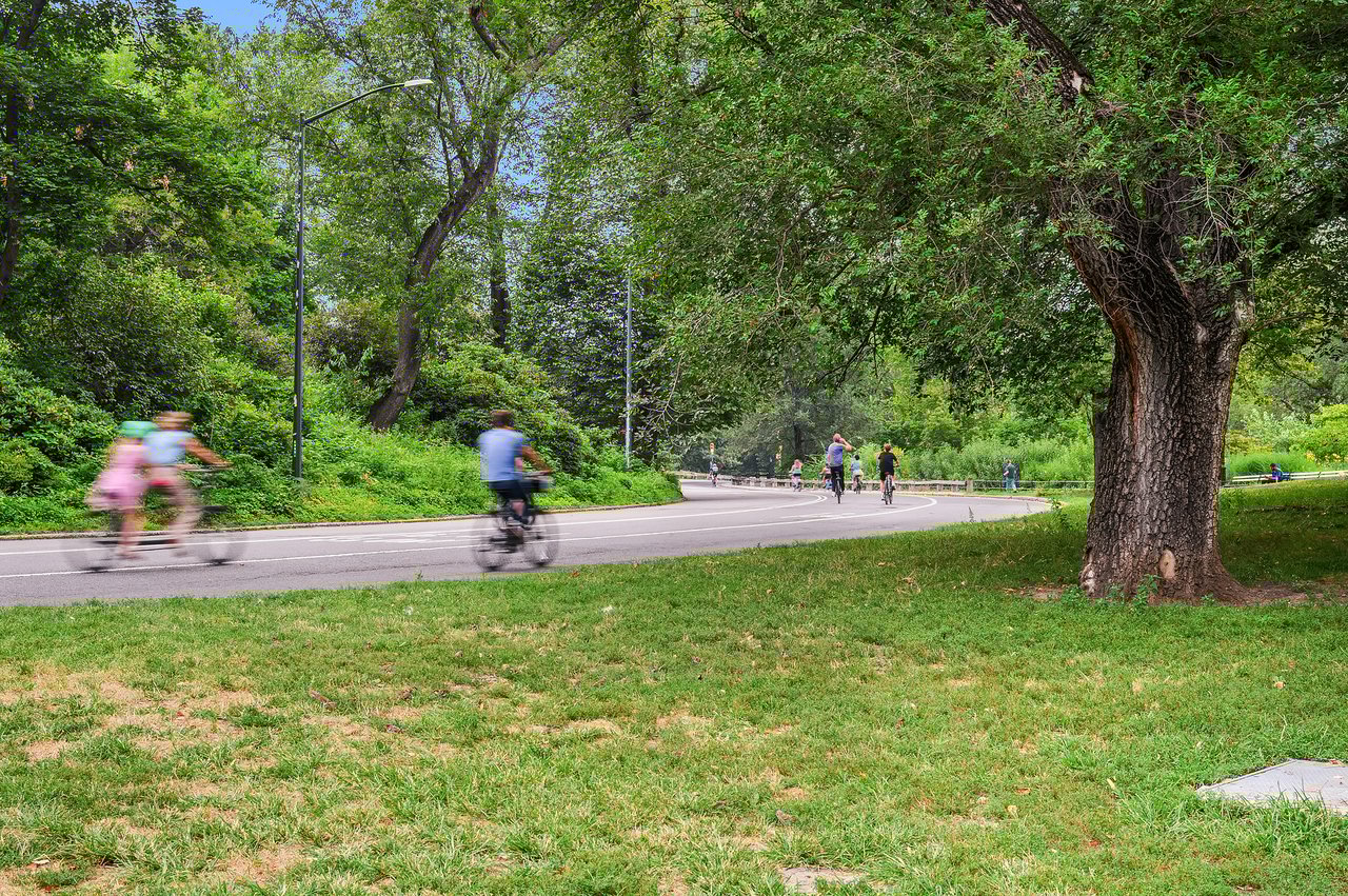 Central Park Classic 6