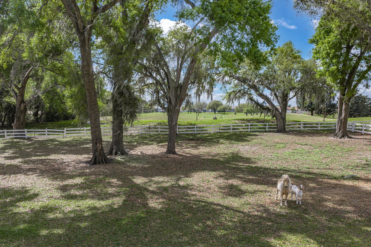 34428 Mission Valley Drive