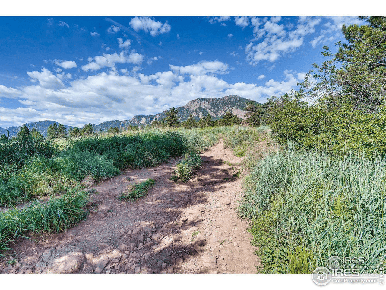 3202 Cripple Creek Trl Unit 25  