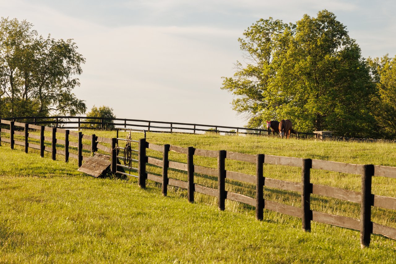 Wayside Manor