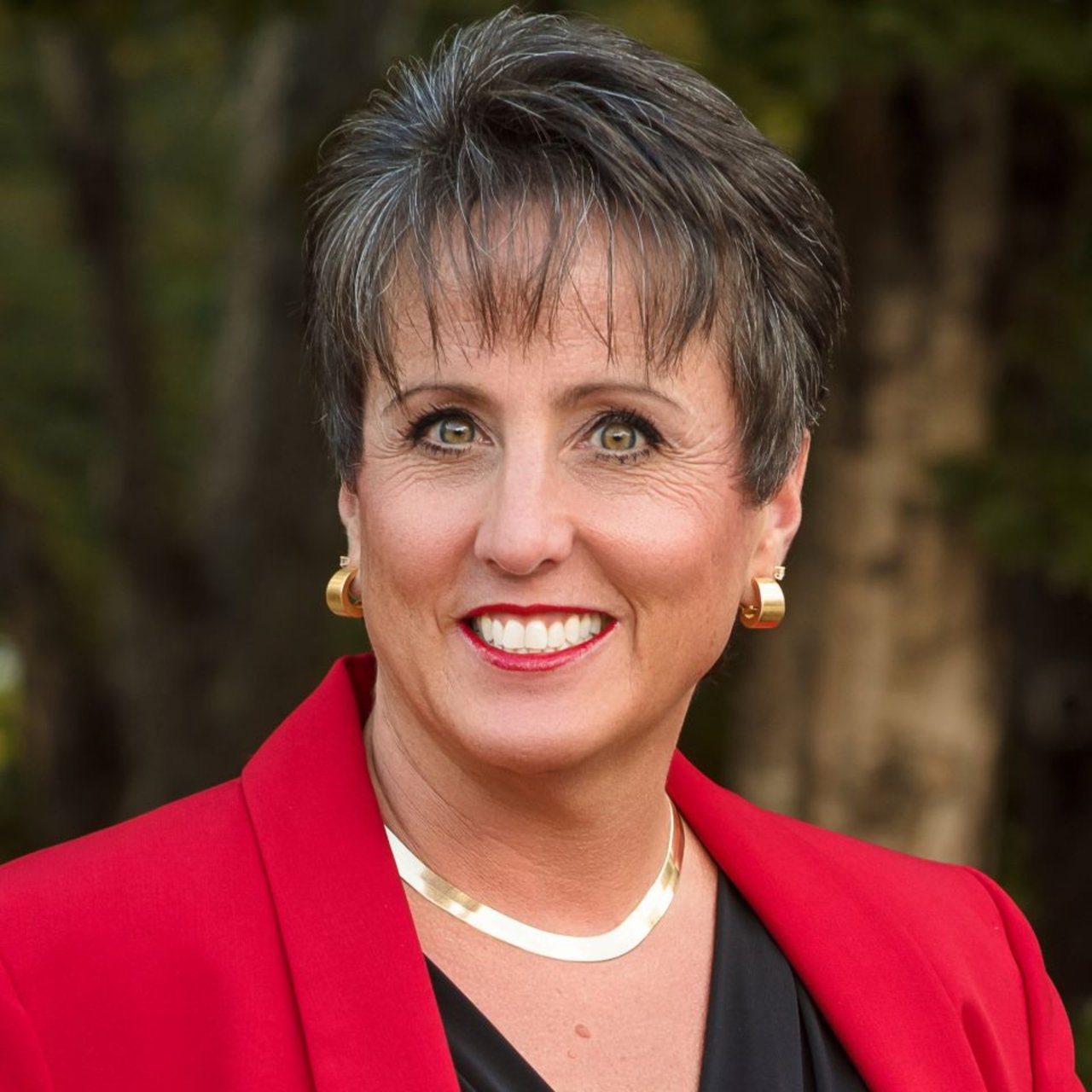 Cherie Goldsmith Penrose, NC Real Estate Agent Headshot