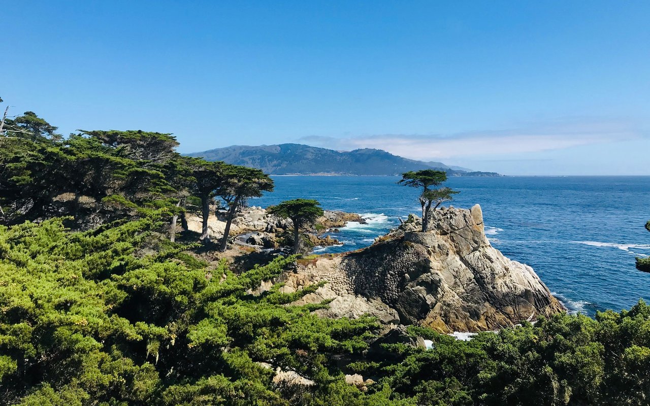 Del Monte Forest