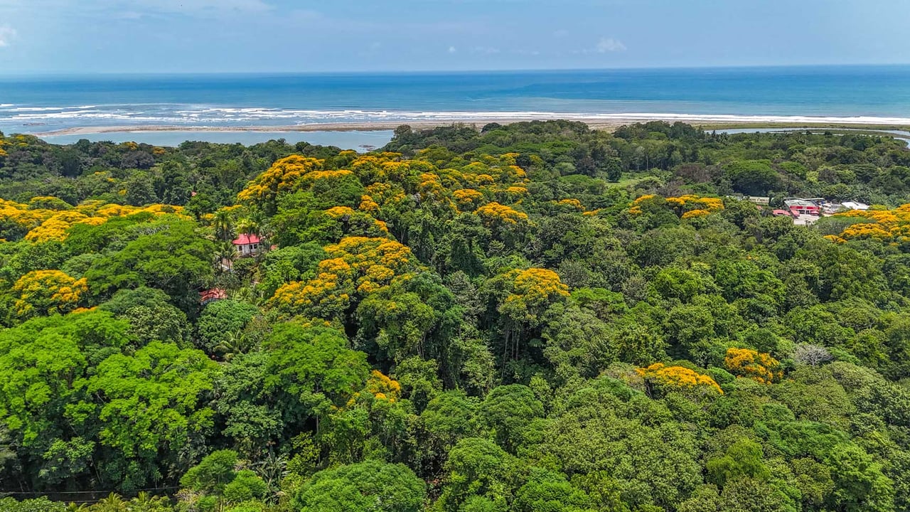 23-Acre Prime Highway Frontage Lot Near Ojochal & Ocean