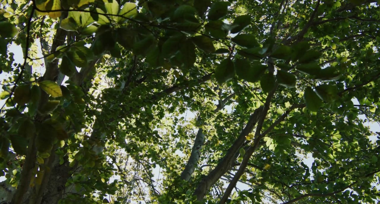  3024 44TH ST NW Washington, DC 