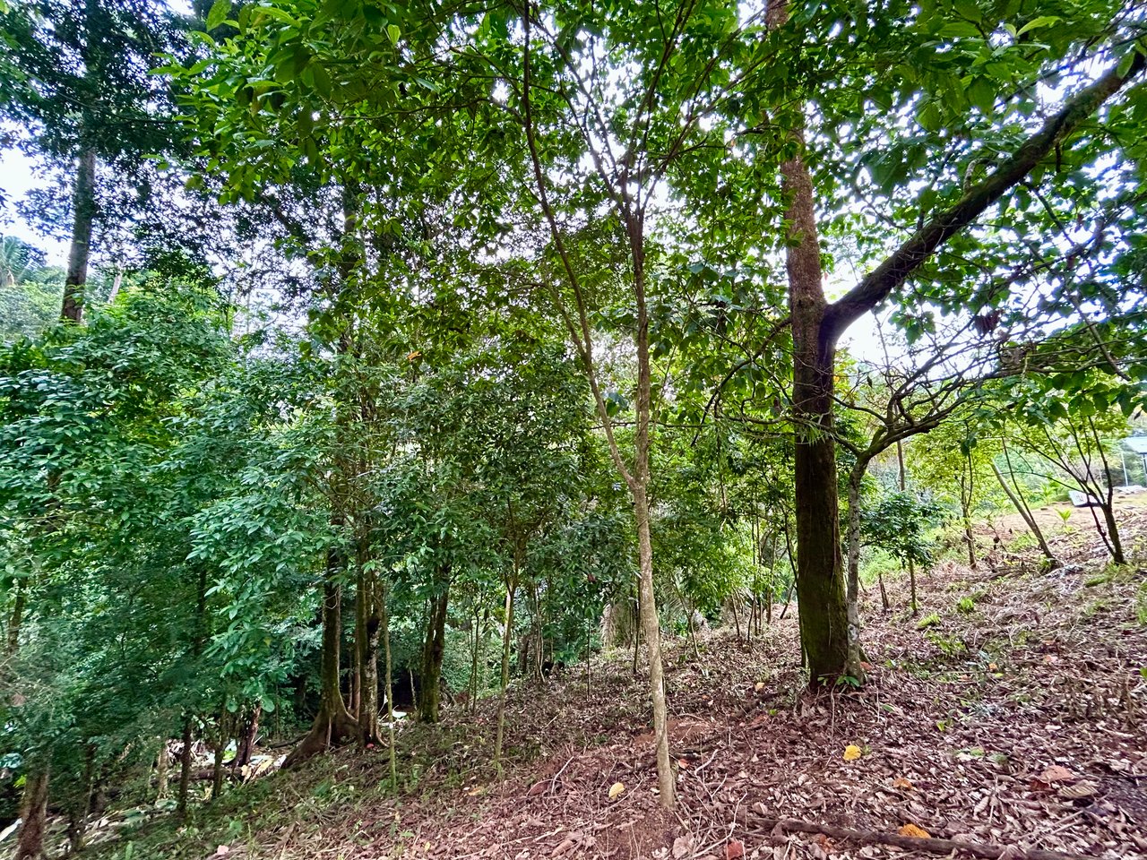 Over 1.4 Acres in Playa Hermosa – Just 5 Minutes from the Beach!