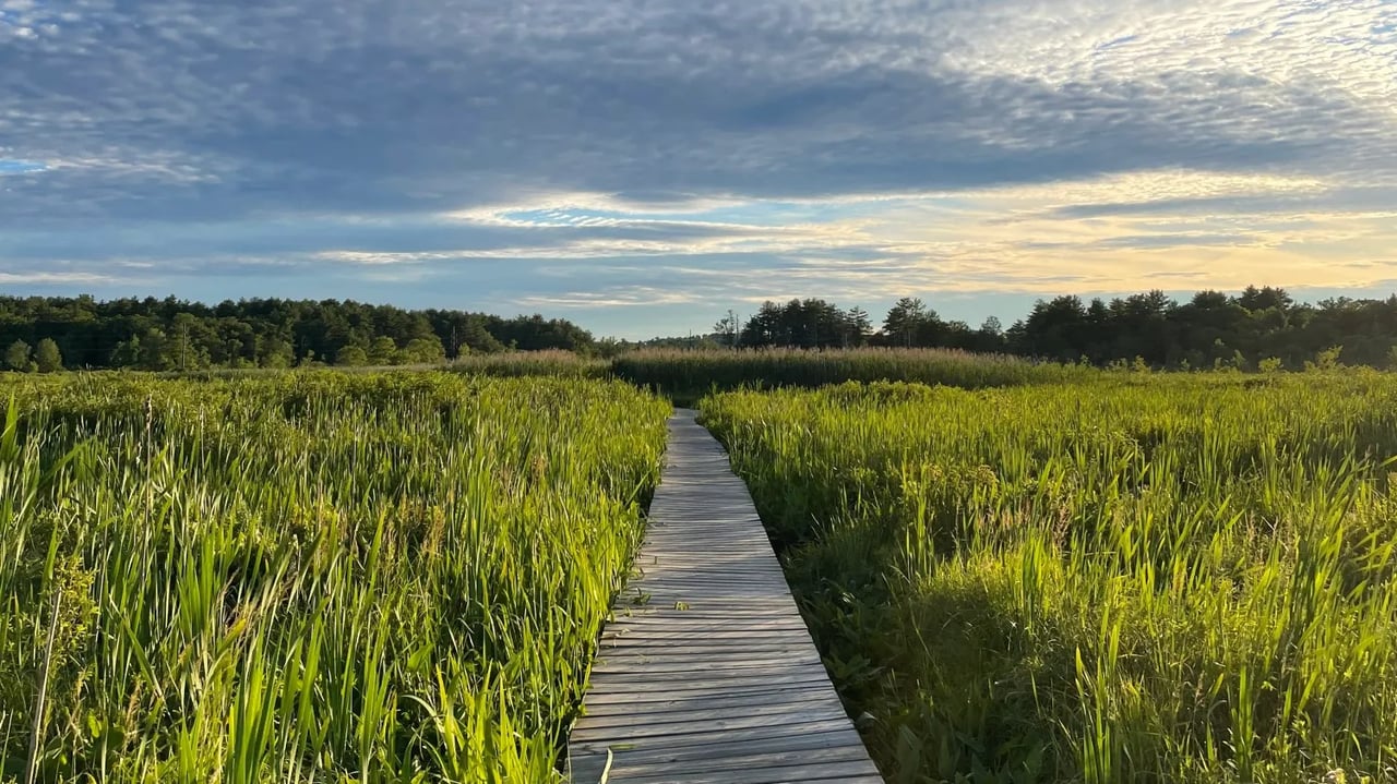 This is the in-the-know alternative to the Hamptons - Quaint Litchfield, a two-hour drive from New York, offers a rural escape with great restaurants and now a trendy new hotel