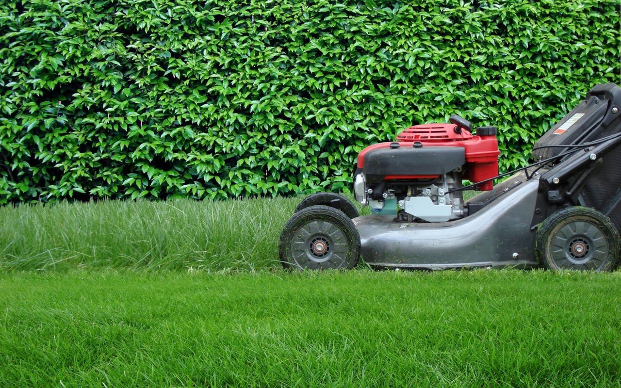 August Maintenance Guide