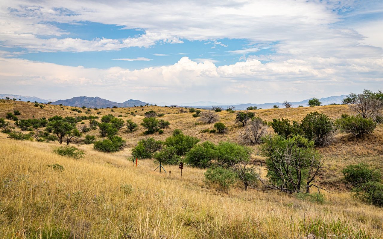 Sonoita