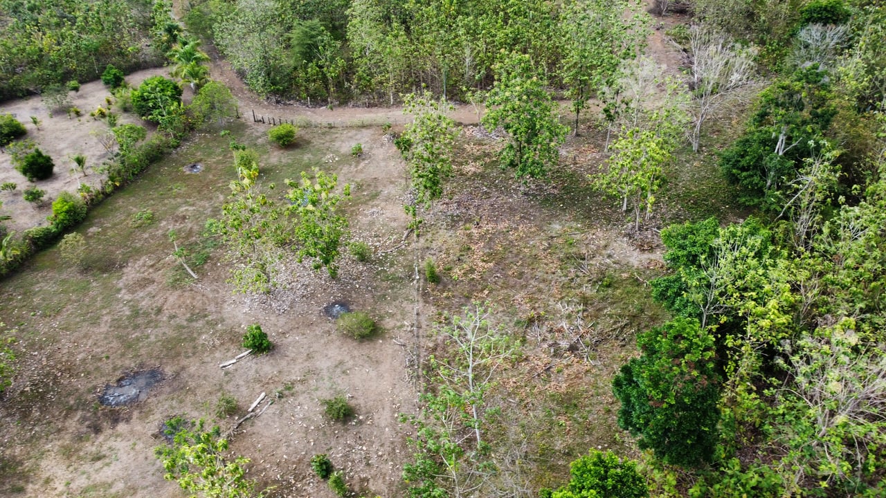 Off the grid property | Located in a privileged area, surrounded by natural beauty