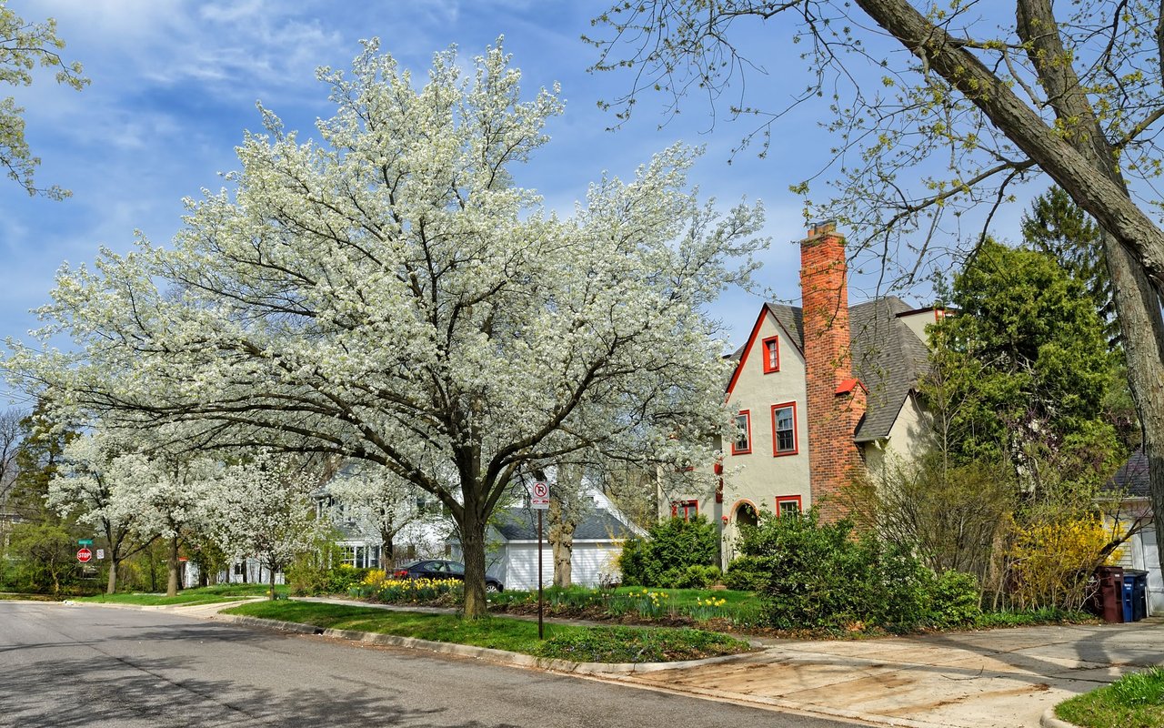 Mortgage Calculator