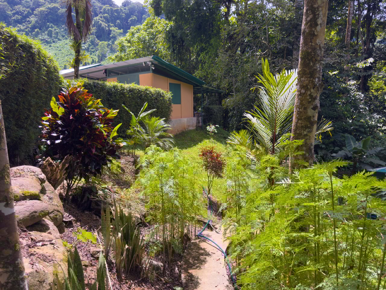 Valley of the Horses , Multi-Home Mountain Retreat -Dominical