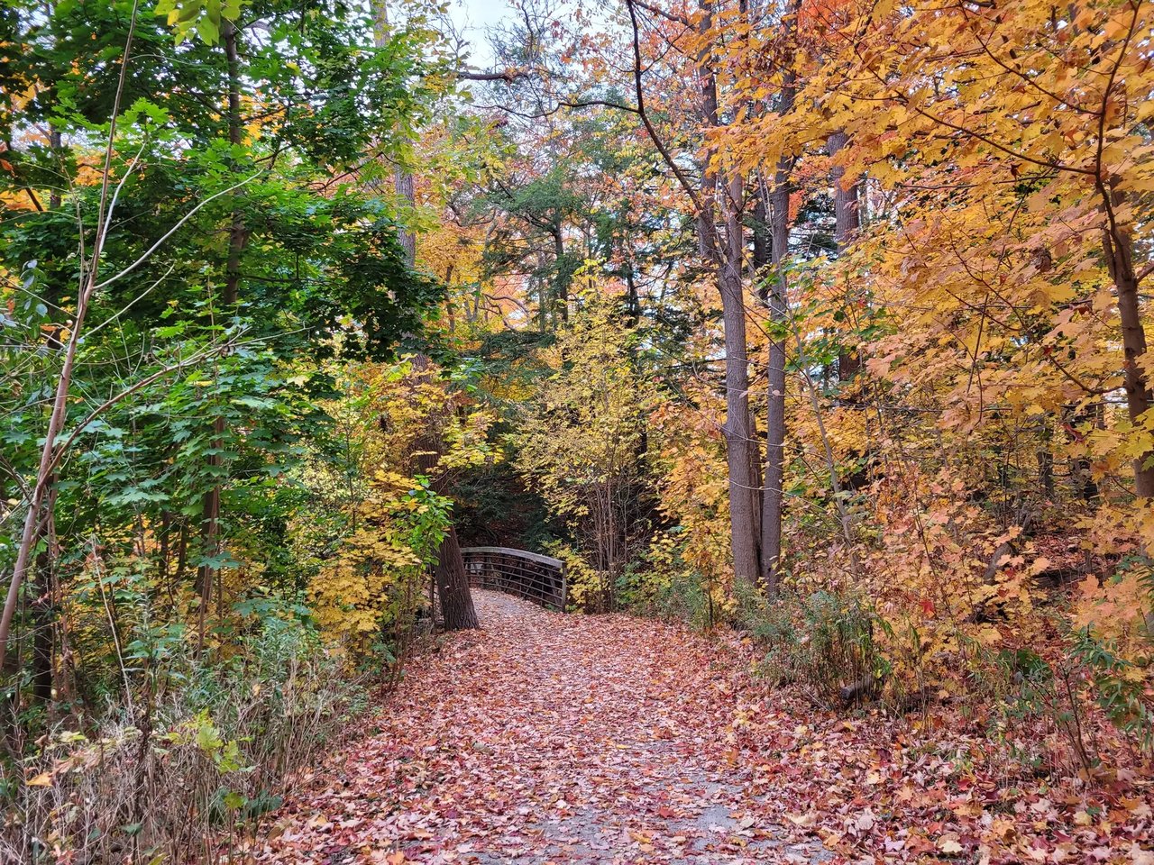 Joshua Creek