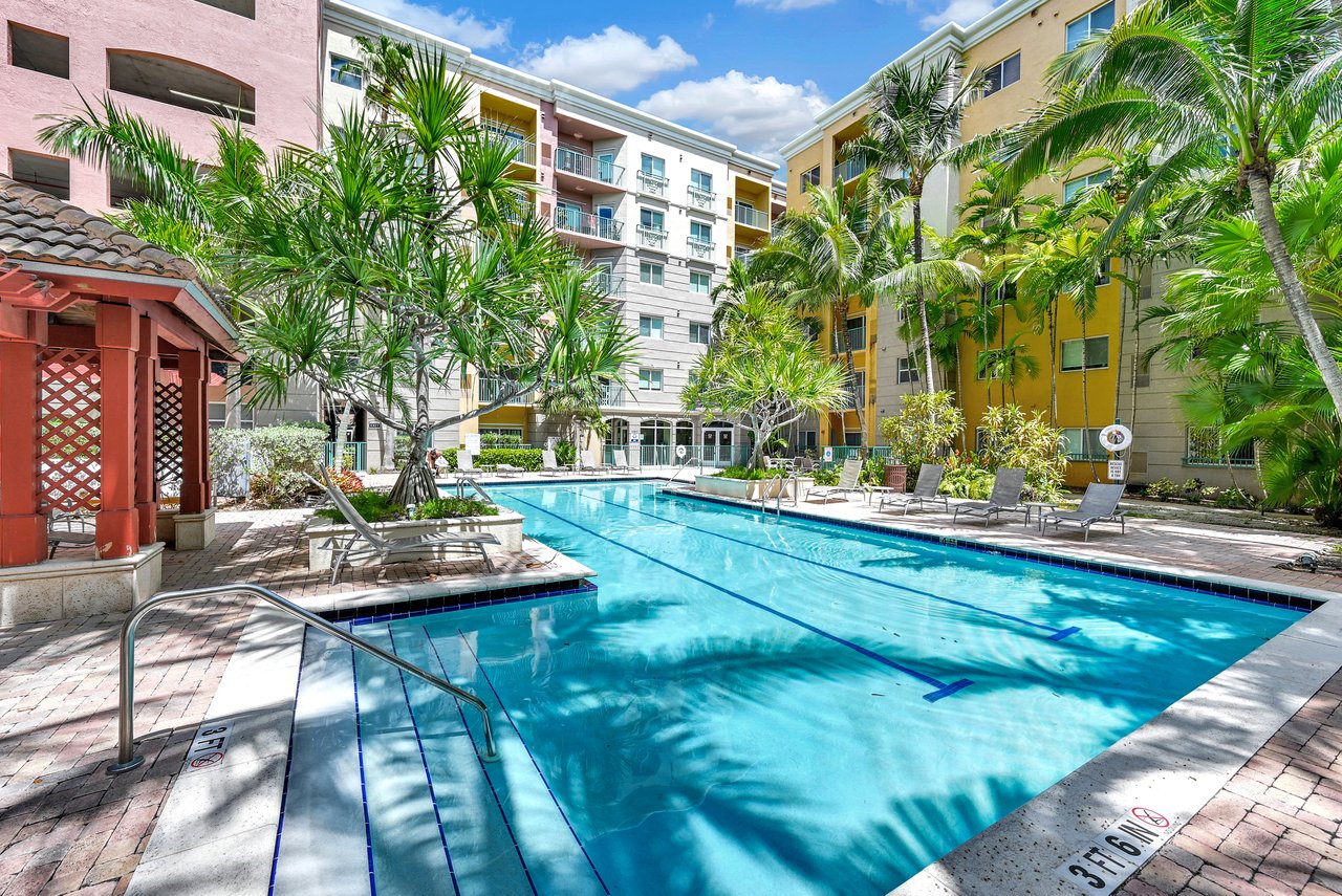 Elevated Amenities