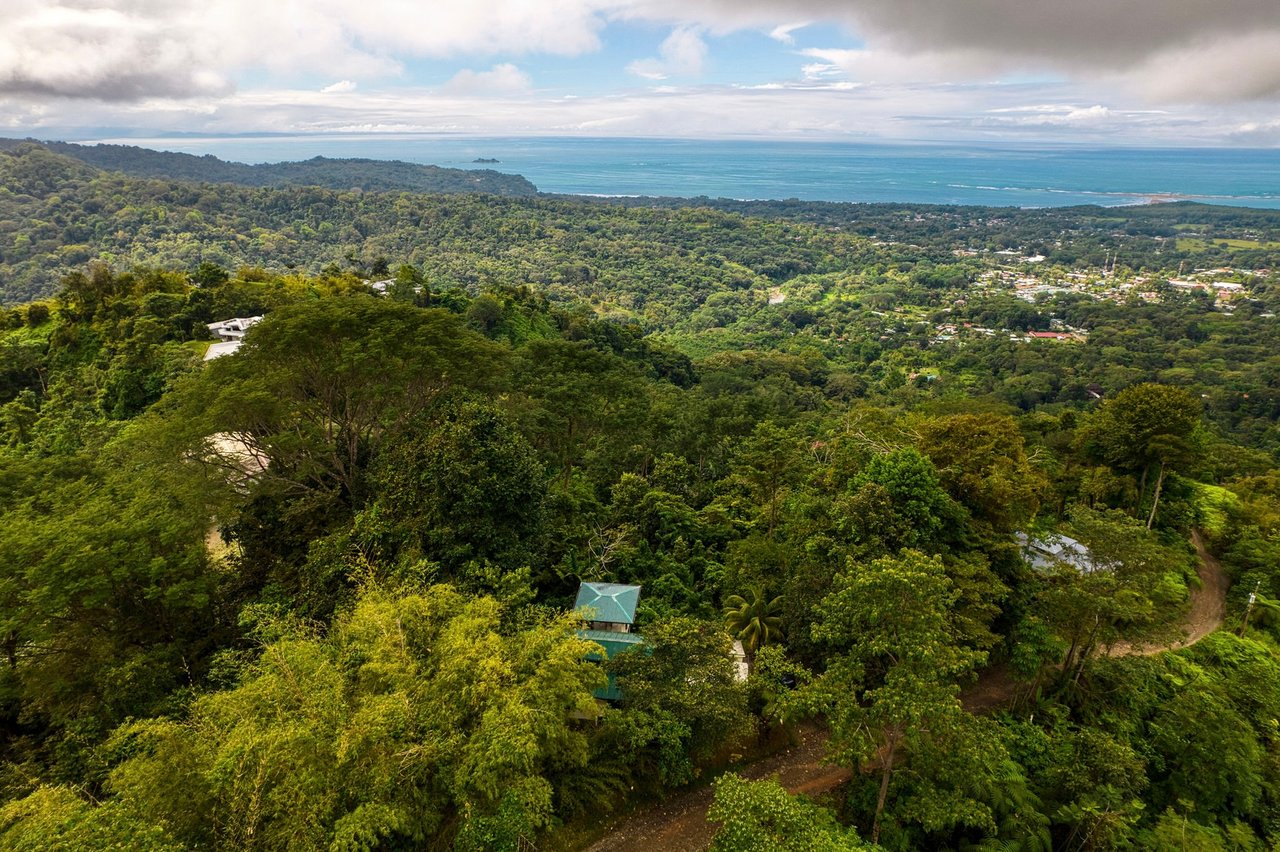 WONDROUS WHALE’S TAIL OCEAN VIEW HOME ABOVE UVITA