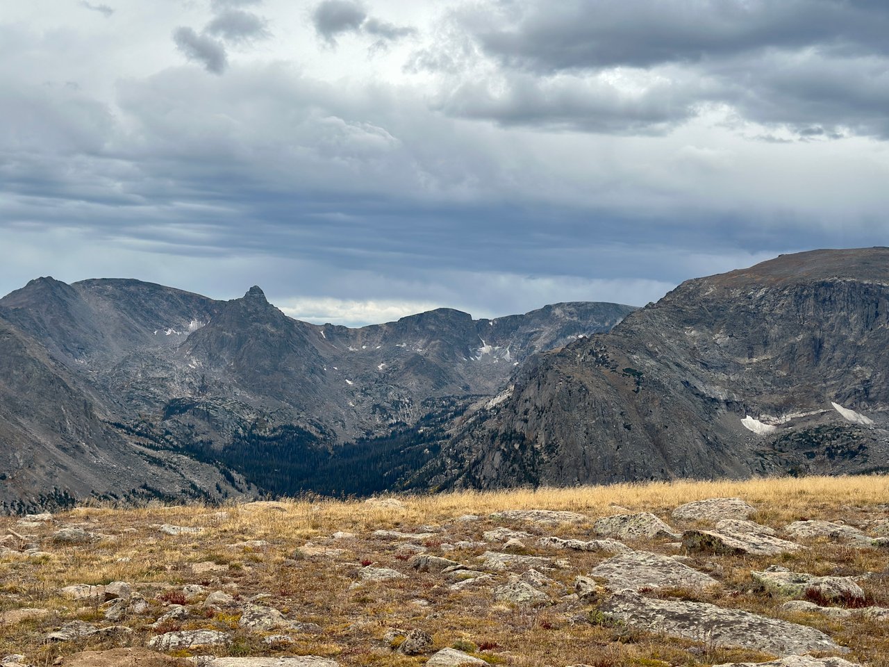 Into the Wild: Discovering Rocky Mountain National Park with Monica