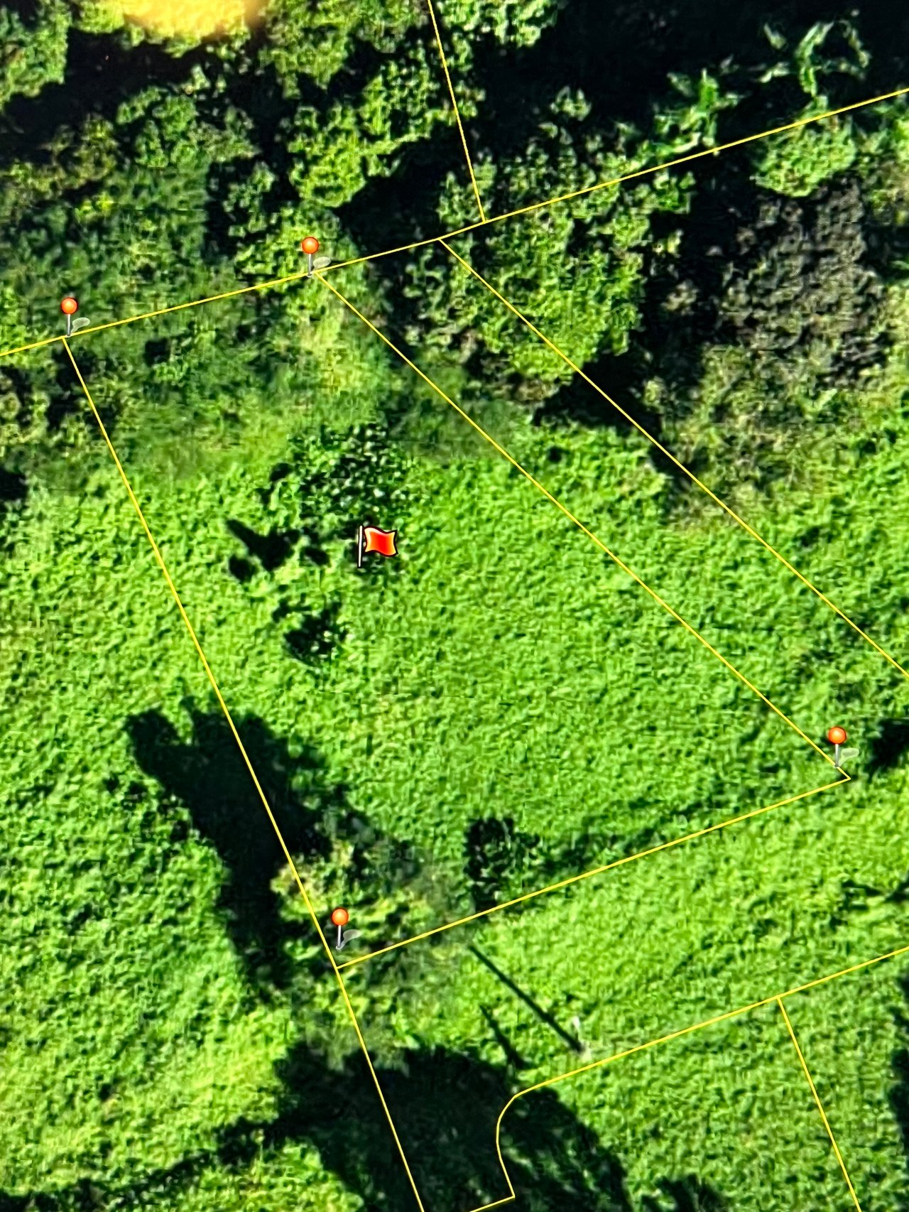 HACIENDA LA CEIBA RIO GRANDE